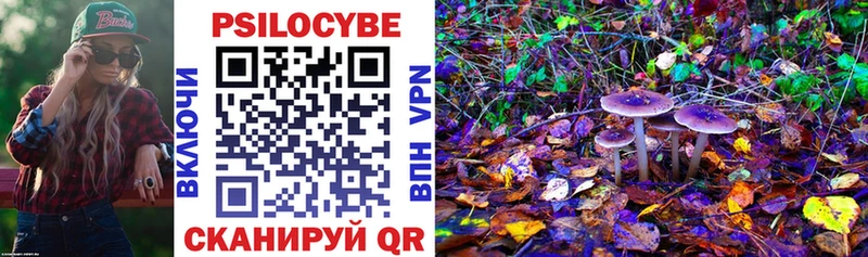 Купить закладки  Зуевка  Галлюциногенные грибы прущие грибы 